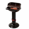 BARBECOOK Loewy 55 faszenes grill