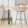  Bárszék 2 pcs Természetes 44,5 x 53 x 111 cm Rattan és Vas