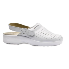 Base B0551WHR46 Xeno OB A E SRC
