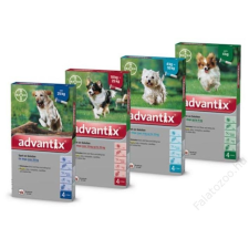 Bayer Advantix 4-10kg (4 pipetta) élősködő elleni készítmény kutyáknak