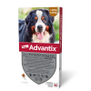 Bayer Advantix spot-on kutyákra (40-60kg kutyákra ) , 4db pipetta , illusztrációs fotó , macskákra tilos rakni .