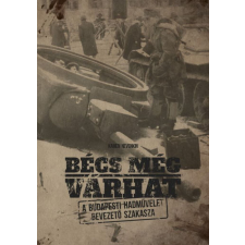 Bécs még várhat - A budapesti hadművelet bevezető szakasza történelem