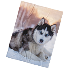 BedTex Mikropoliész takaró Szibériai husky, 150 x200 cm lakástextília