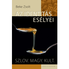 Beke Zsolt BEKE ZSOLT - AZ IDENTITÁS ESÉLYEI. - SZLOV. MAGY. KULT. társadalom- és humántudomány