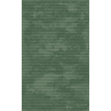 Berfin Ber. EFORIA 9551 zöld 160 x 220 cm modern szőnyeg lakástextília