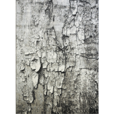 Berfin Ber Maksim 8606 bézs-szürke 120x180cm szőnyeg lakástextília