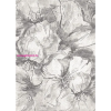 Berfin Ber. VERA 4441 bézs-szürke 180 x 260cm modern szőnyeg