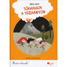 Berg Judit - Tökmagok a tűzhányón egyéb könyv