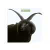 BERTUS HUNGARY KFT. The Cult - (CD)