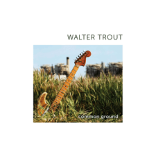 BERTUS HUNGARY KFT. Walter Trout - Common Ground (Cd) blues