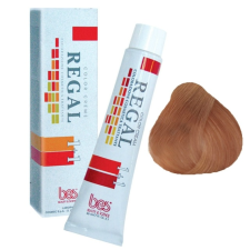 BES Regál Hajfesték 60ml 93 - Nagyon Világos Aranyszőke hajfesték, színező