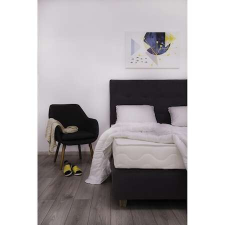 Best Sleep Antibakteriális és Hipoallergén matrac, 65 x 185 cm ágy és ágykellék
