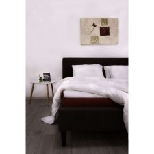 Best Sleep Diamond Red Kétoldalú Ortopédiai matrac, 170 x 200 cm ágy és ágykellék