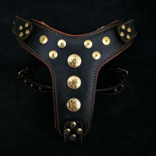  Bestia Kutyanyakörv - Prémium Bőr - L/XL - Fekete/Narancs nyakörv, póráz, hám kutyáknak