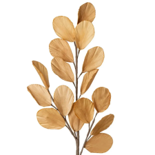  Bézs színű dekorlevél, arany kontúrral dekoráció