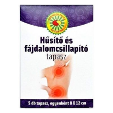 BIG STAR Hűsítő tapasz (8x12cm, kicsi) 5db egyéb egészségügyi termék