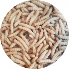 Bio tönköly tészta sodort csiga 5kg alapvető élelmiszer