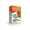 - Bioco csipkebogyós retard c-vitamin 1000mg filmtabletta családi csomag 100db