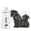 Biogance Dark Black Sampon 250ml