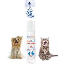 Biogance Dentifresh spray 100ml macskafelszerelés