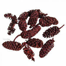  Birch pine szárított bordó 28dkg/csom dekorációs kellék