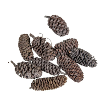  Birch pine szürke 21dkg/csomag dekorációs kellék