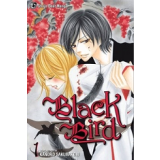  Black Bird, Vol. 1 – Kanoko Sakurakoji idegen nyelvű könyv