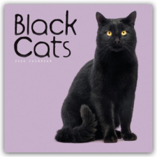  Black Cats - Schwarze Katzen 2026 - Wand-Kalender naptár, kalendárium