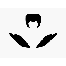 BlackBird Tábla Matricák Fekete Fantic XX egyéb motorkerékpár alkatrész