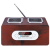 Blaupunkt PP5BR