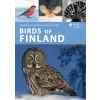 Bloomsbury Publishing Birds of Finland | Markus Varesvuo,Mikko Oivukka