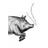 Bloomsbury Publishing Complete Nose to Tail | Fergus Henderson