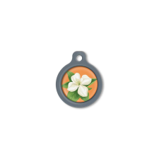 Blucky Jasmine Orange Dog Tag medium nyakörv, póráz, hám kutyáknak