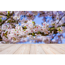  Blueback MAT Flori100 tapéta, 250 x 200 cm tapéta, díszléc és más dekoráció