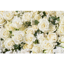  Blueback MAT Flori173 fotótapéta, Fehér rózsák 2, 300 x 200 cm tapéta, díszléc és más dekoráció