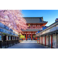  Blueback MAT fotótapéta, Virágok, Japán templom virágzó cseresznyével, 300 x 200 cm tapéta, díszléc és más dekoráció