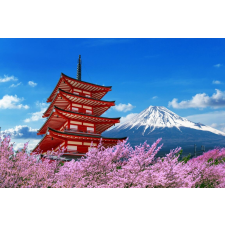  Blueback MAT fotótapéta, Virágok- Pagoda virágzó cseresznyével, 250 x 200 cm tapéta, díszléc és más dekoráció