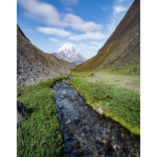  Blueback Mat Natura 80 tapéta, 200 x 255 cm tapéta, díszléc és más dekoráció