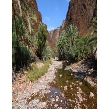  Blueback MAT "Természet 124" tapéta, 200 x 255 cm tapéta, díszléc és más dekoráció