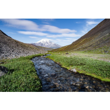  Blueback MAT "Természet 80" fotótapéta, 250 x 200 cm tapéta, díszléc és más dekoráció