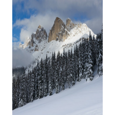  Blueback MAT "Természet 95" tapéta, 200 x 255 cm tapéta, díszléc és más dekoráció