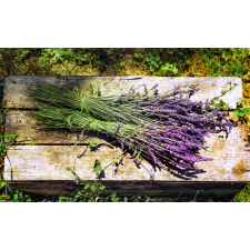  Blueback MAT tapéta Flori67, 250 x 200 cm tapéta, díszléc és más dekoráció