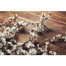  Blueback MAT tapéta, növényvilág 90, 250 x 200 cm tapéta, díszléc és más dekoráció