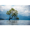  Blueback MAT tapéta, természet 177 fa a tó közepén modell, 250 x 200 cm