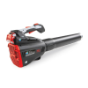 Bluebird BLB 40 (883430)