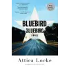  Bluebird, Bluebird – Attica Locke