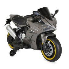 BO Surfer elektromos motor, 20kg-ig, 2 motoros SZÜRKE elektromos járgány