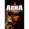 Bohemia Interactive ARMA: Cold War Assault (PC - Steam Digitális termékkulcs)
