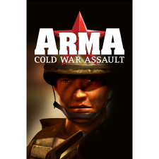 Bohemia Interactive ARMA: Cold War Assault (PC - Steam Digitális termékkulcs) videójáték