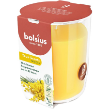 Bolsius Mimosa 45 óra gyertya